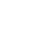 資深專業(yè)運營團(tuán)隊